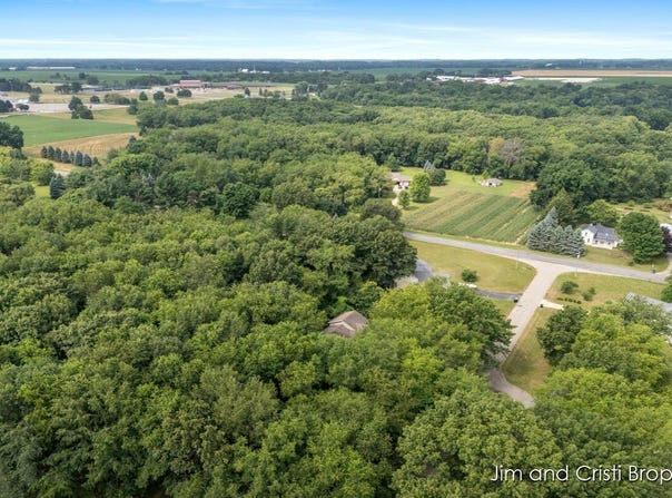 9935 FLAT ROCK COURT, MIDDLEVILLE, MI 49333