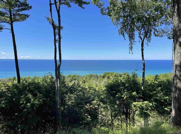 6360 TRILLIUM TRAIL, HARBOR SPRINGS, MI 49740