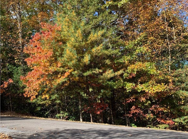 Lot22 Bryant Cove Road, Blairsville, GA 30512