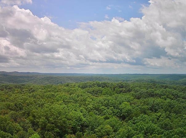 Tract 4 ROB WATSON Rd, Oneida, TN 37841