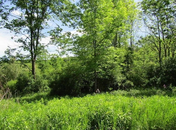 1779 Packard Rd, Covington, PA 16917
