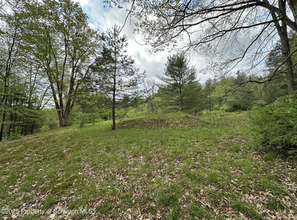 River Road 2, Damascus, PA 18415