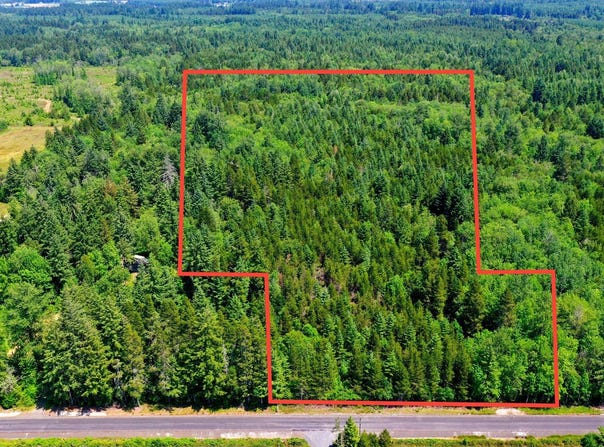 BOONE RD, Toledo, WA 98591