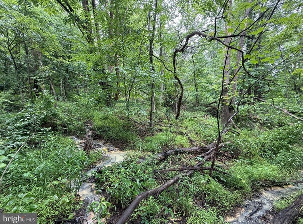 ROCK Street SW, WESTERNPORT, MD 21562