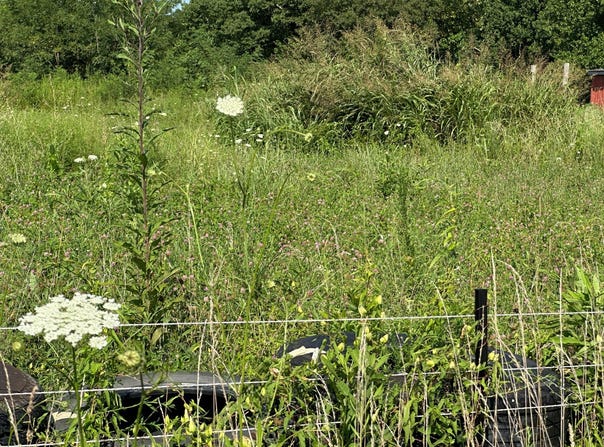 Tract# 23 Statham Rd, Liberty, KY 42539