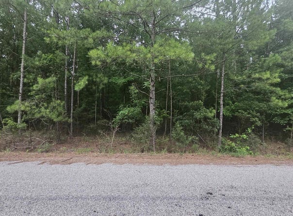 470 COUNTY ROAD 518, SELMA, AL 36701