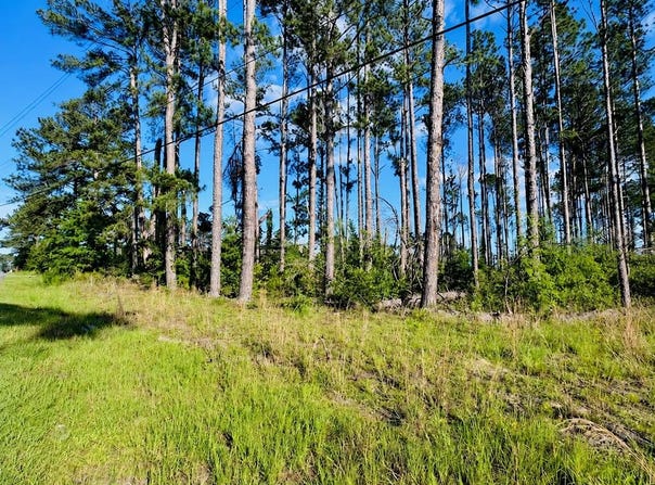 Sunbeam Rd., Douglas, GA 31535