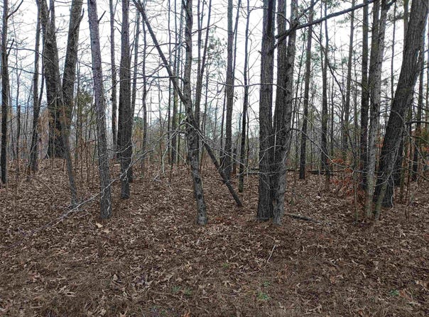 00 Highway 18, Medon, TN 38356