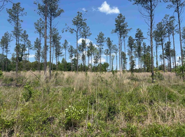 0 Grant 433, Sheridan, AR 72150