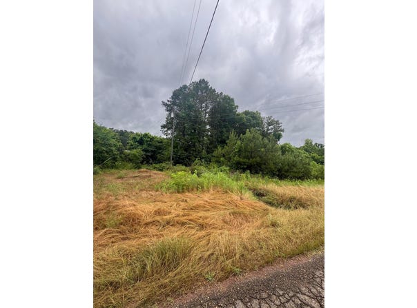 0 STELLA LOCKARD Rd, Cordova, AL 35550
