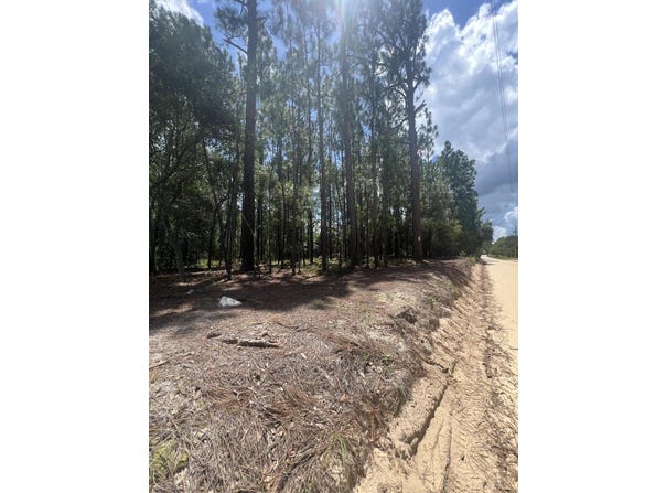 0 Cassie Road Road, Batesburg-Leesville, SC 29006