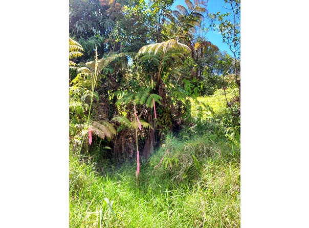 18-2300 ROAD 9, Volcano, HI 96785