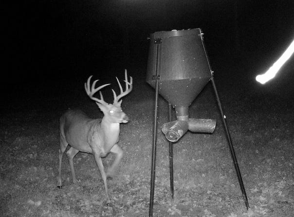 0 KY Hwy 1952, Columbia, KY 42728