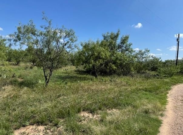 14235 Fawn Dr, Carlsbad, TX 76934
