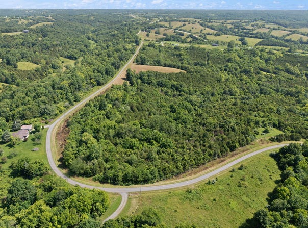 0 Mann Road, Mt Olivet, KY 41064