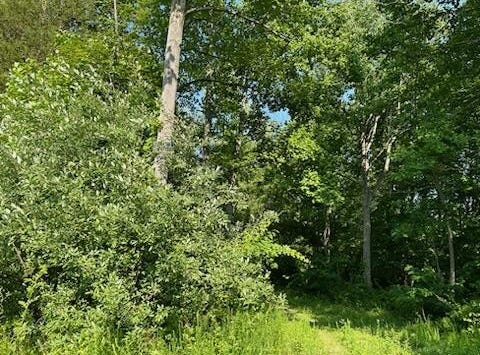 340 Winford Drive, Richmond, KY 40475
