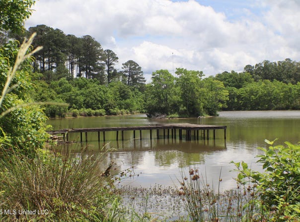 Vine Drive, Brandon, MS 39047