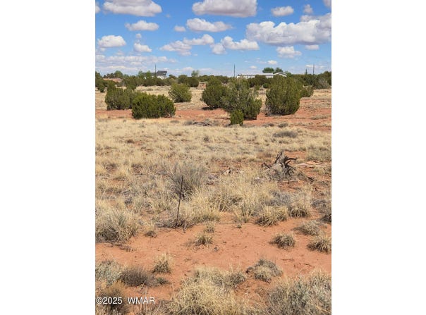 4.02 Dewitt, Snowflake, AZ 85937