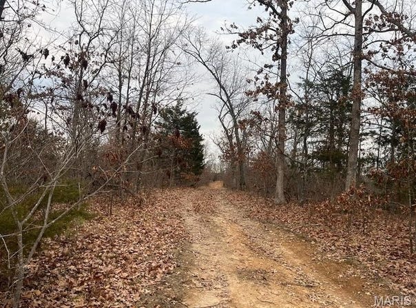 0 125.87ac Tract A-2 Clear Creek Road, Richwoods, MO 63071