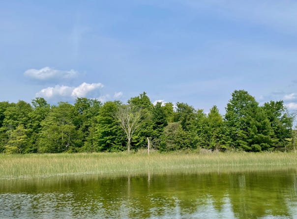 805 GUENTHER RIDGE, GAYLORD, MI 49735