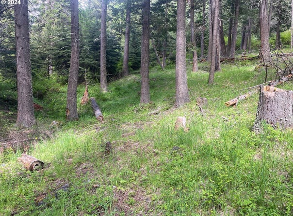 Tram Ln, WallowaLake, OR 97846