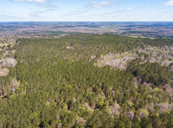Lot 2 Timothy Rd., Ellisville, MS 39437