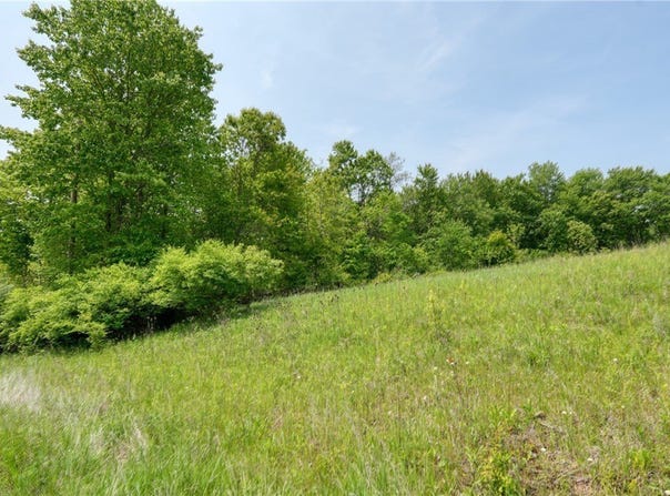 63580 Wintergreen Road, Lore City, OH 43755