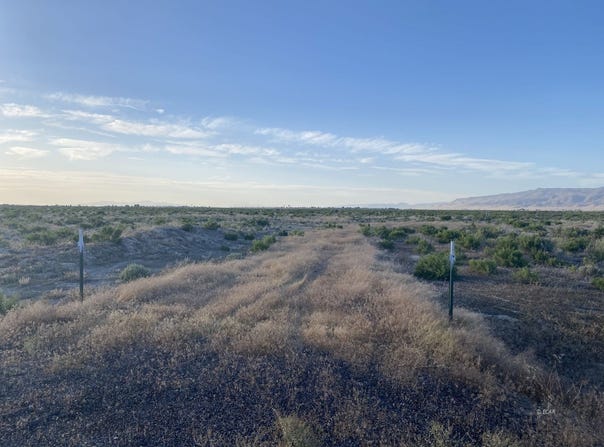 1235 James Madison Avenue, Battle Mountain, NV 89820