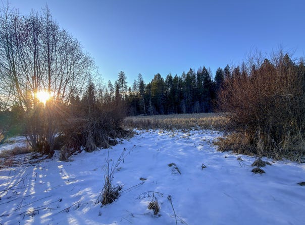 331861 HIGHWAY 2, NEWPORT, WA 99156
