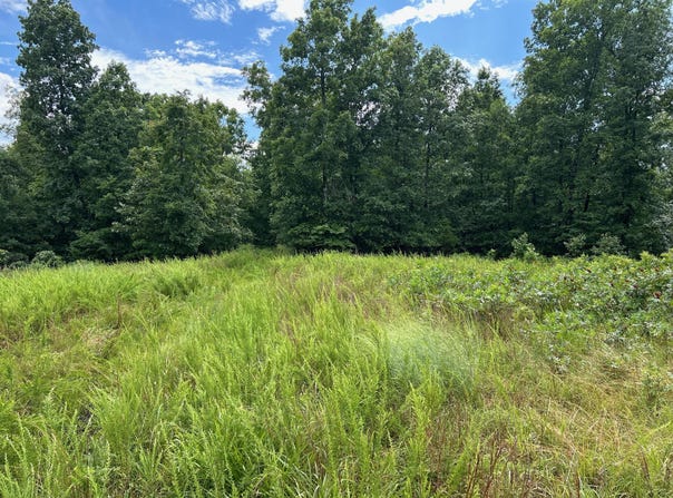 0 County Road 444, Redford, MO 63665