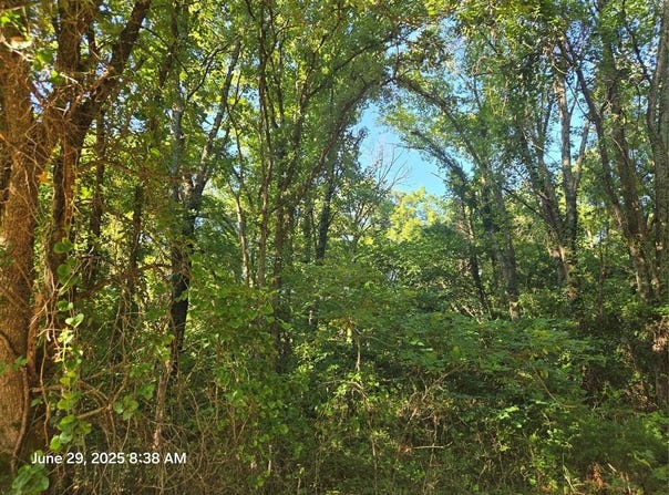 00 Hillside Drive, Tecumseh, OK 74873