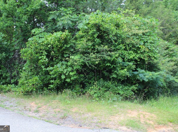 0 Liberty, Lumpkin, GA 31815