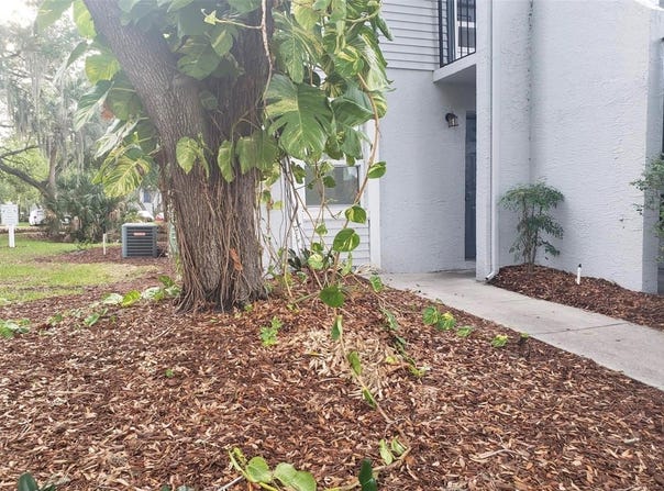 7100 WATERSIDE Drive, TAMPA, FL 33617