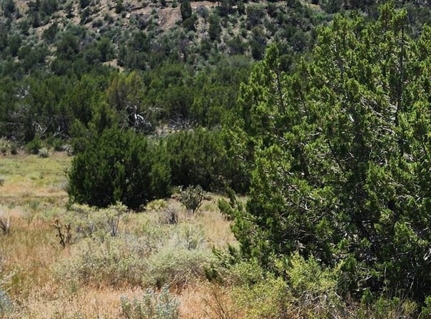 W North Avenue, Trinidad, CO 81082