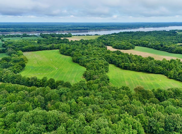 Gillahan Road, Ledbetter, KY 42058