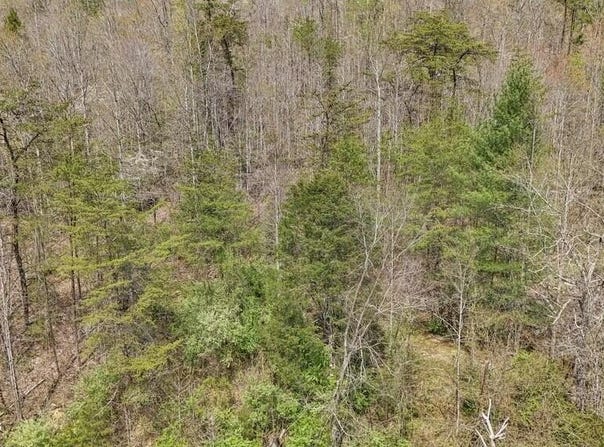 Roses Creek Rd, Clairfield, TN 37715