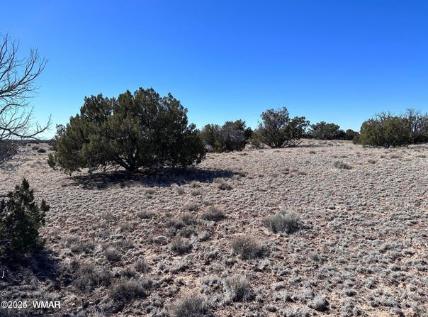 004q N N7204, St. Johns, AZ 85936