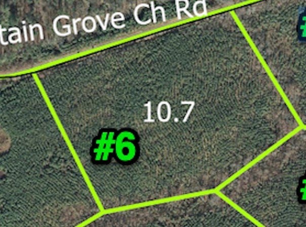 TBD Mountain Grove Church Rd, Candor, NC 27229