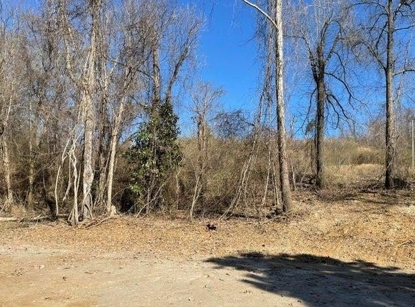 15944 Brownsferry Road, MS 38665