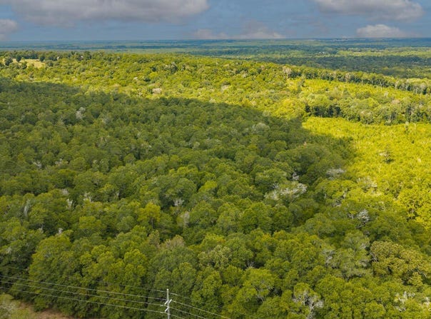 Power Dam Road, Newton, AL 36352