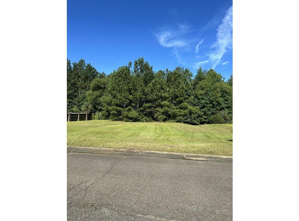 Belle Vallee Dr, Columbus, MS 39705