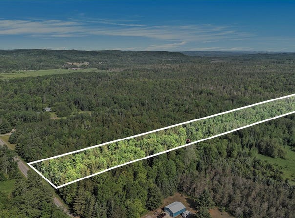 TBD Old State Road, East Jordan, MI 49727