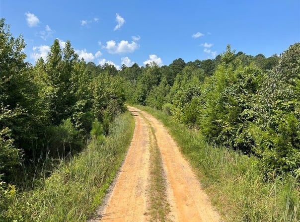 0 Ellis Jones Road, Bienville, LA 71008