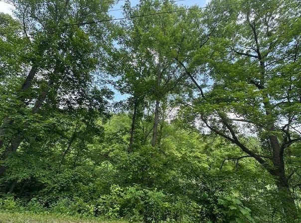 5800 KY 719, Sandy Hook, KY 41171