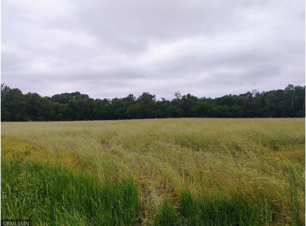 6xxx County Road 6 NW, Wyanett Twp, MN 55371