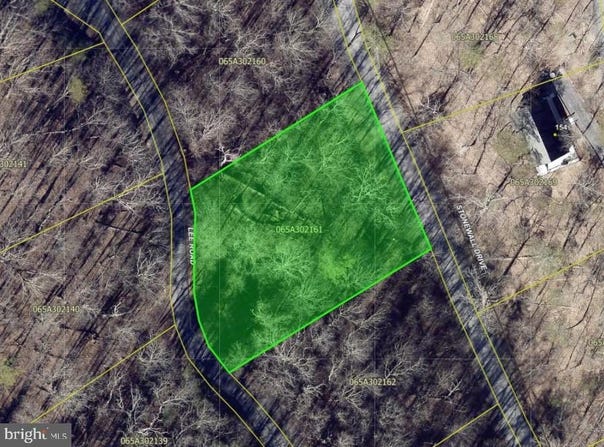 LEE lot: 161, BASYE, VA 22810