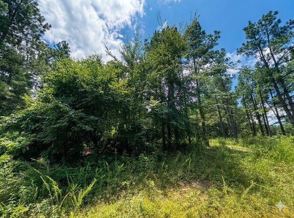 18 Boulder Path, Hochatown, OK 74728