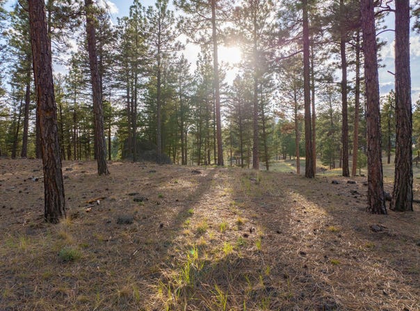 Leaning Tree Lane, Clancy, MT 59634