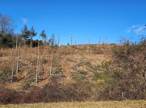 Excelsior School Rd lot: 0, Laurel Fork, VA 24352