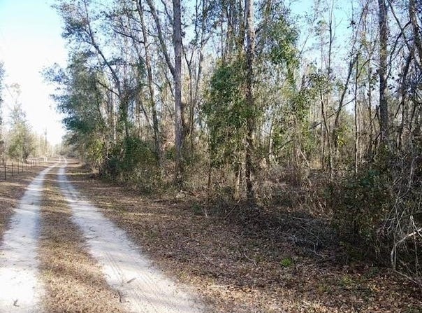 NE Cedar Trail, Pinetta, FL 32350